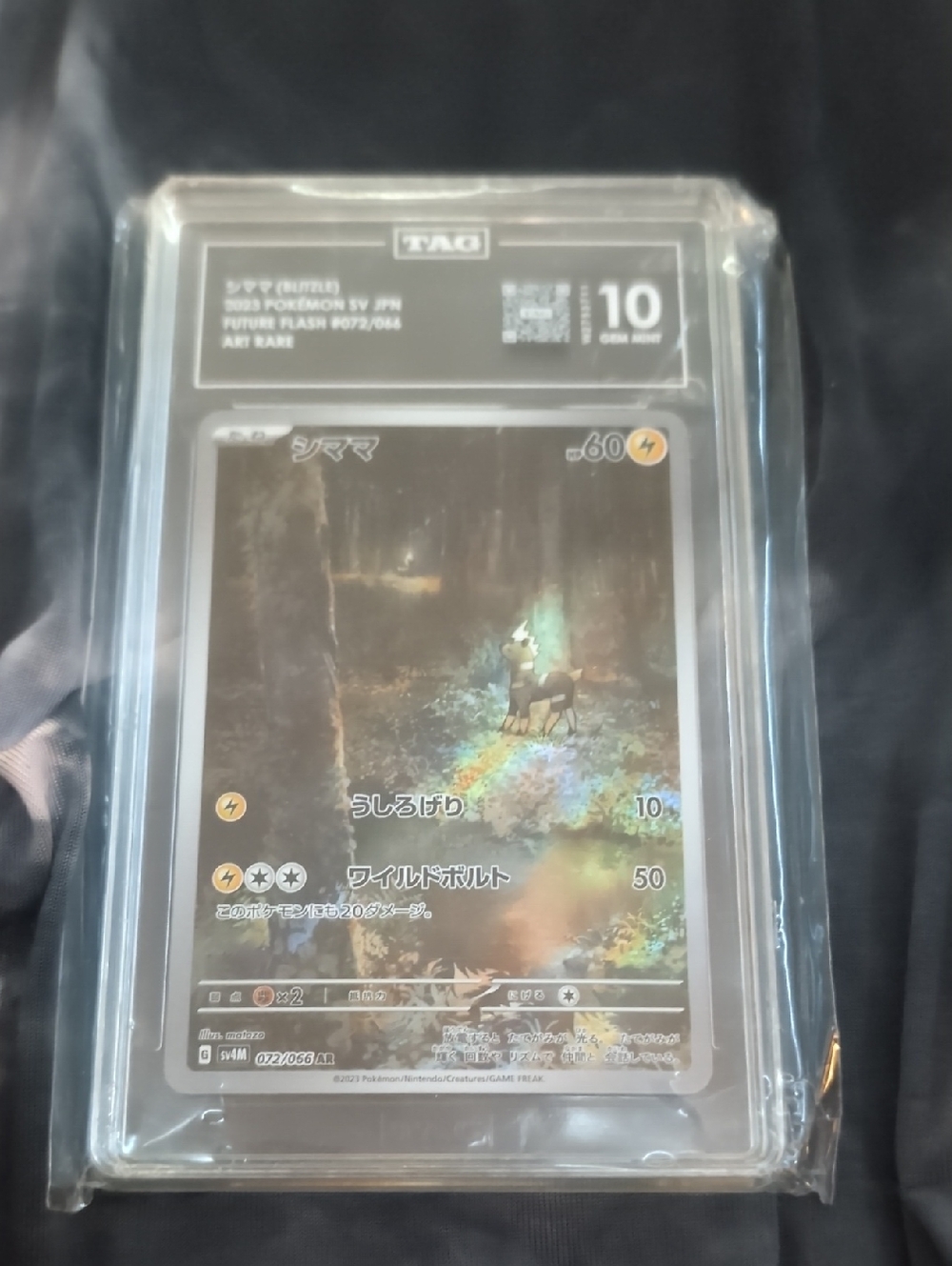 Tag Holographic Pokémon Promo Card — Black, Green, Rainbow Foil